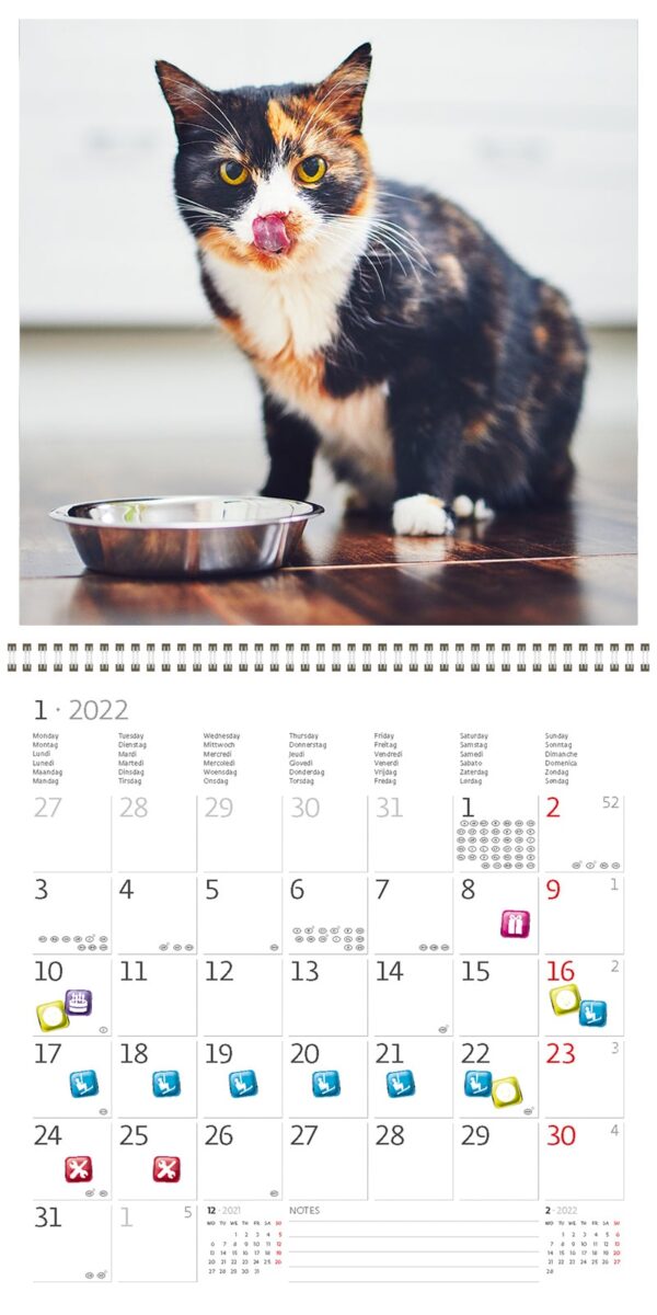 Wall calendar Cats 2022 January