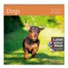 Wall calendar Dogs 2022