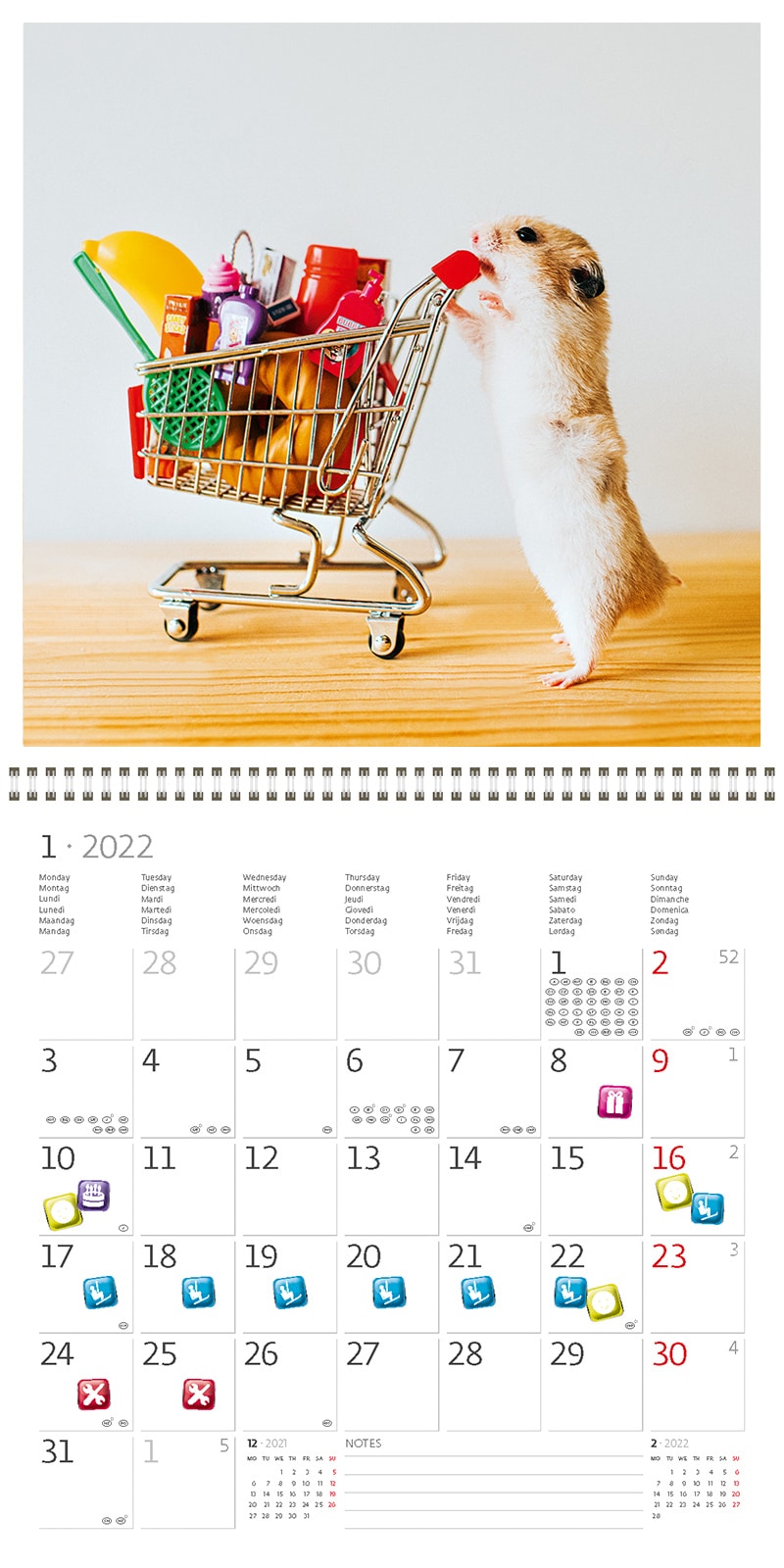 Square Wall Calendar Little Fun 2022 - Calendars365.Shop
