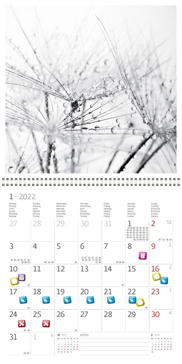 Wall calendar Black & White 2022 January
