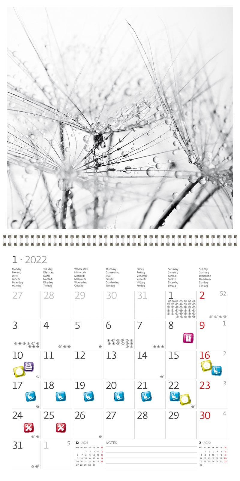 Square Wall Calendar Black & White 2022 - Calendars365.Shop