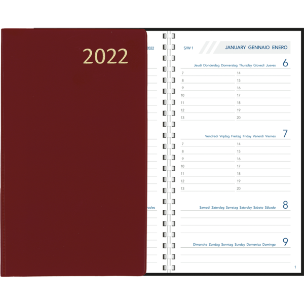 Diary Visuplan comb bound 2022 Burgundy