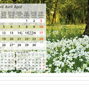 Desk calendar Daydreams 2022 April