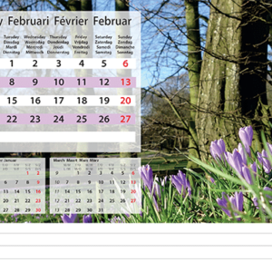 Desk calendar Daydreams 2022 February