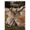 Wall calendar Animals 2022