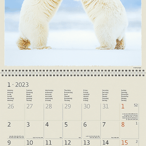 Calendar Animal Friends 2023 - January