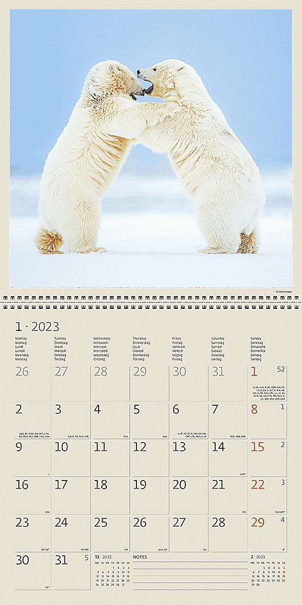 Calendar Animal Friends 2023 - January