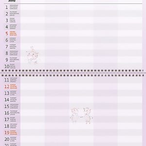 Family planner 2023 - February