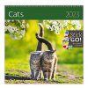 Calendar Cats 2023