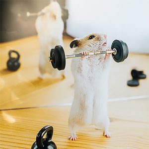 Calendar Little Fun 2023 - February