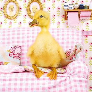 Calendar Little Fun 2023 - March