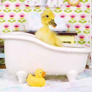 Calendar Little Fun 2023 - July
