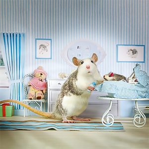 Calendar Little Fun 2023 - August