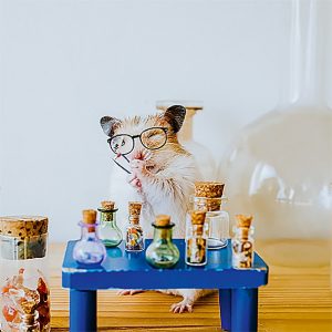 Calendar Little Fun 2023 - October