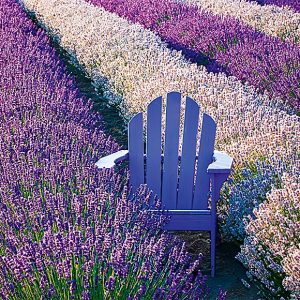 Calendar Provence 2023 - September