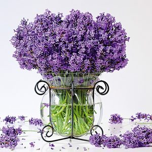 Calendar Provence 2023 - November