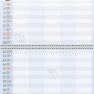 Family planner 2023 - January
