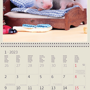 Calendar Little Fun 2023 - January