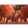 Calendar Wildlife 2023