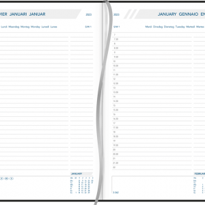 Diary Daily 2023