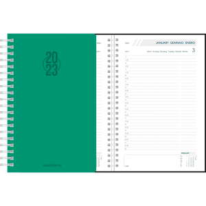 Diary Daily wire-o green 2023