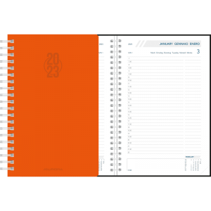 Diary Daily wire-o orange 2023
