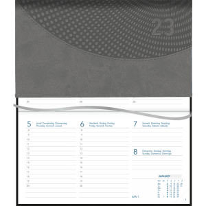 Diary Novoplan 2023 Grey