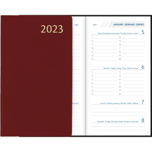 Diary Visuplan 2023 burgundy