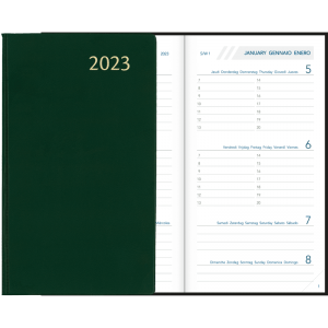 Diary Visuplan 2023 green