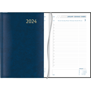 Diary Daily 2024 - Blue