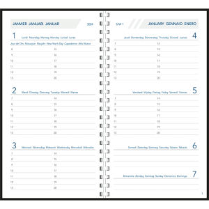 Diary Visuplan 2024 perl