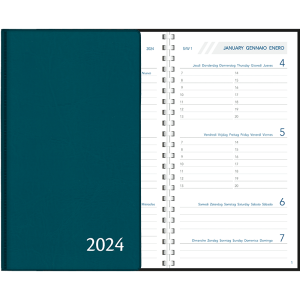 Diary Visuplan 2024 perl - blue green