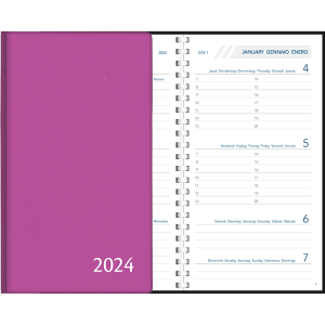 Diary Visuplan 2024 perl - purple