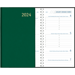 Diary Visuplan 2024 perl - green