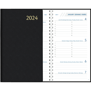 Diary Visuplan 2024 perl - black
