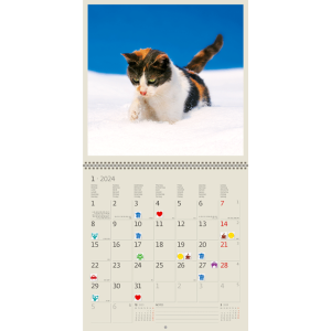 Wall calendar Cats 2024 - January