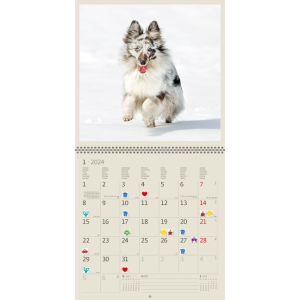 Wall calendar Dogs 2024 - January