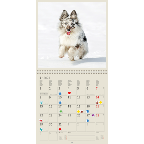 Wall calendar Dogs 2024 - January