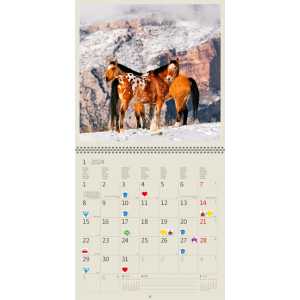 Wall calendar Horses 2024 - January