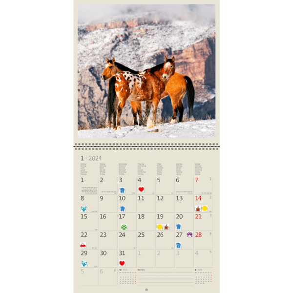 Wall calendar Horses 2024 - January