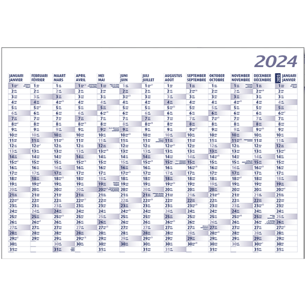 Yearly planner 2024