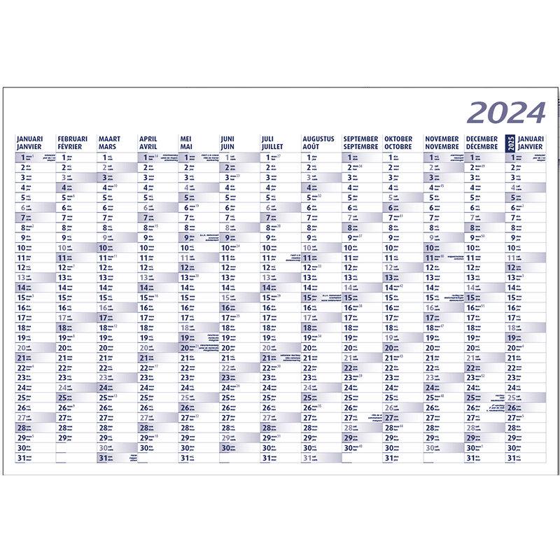 Yearly planner 2024