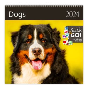 Wall calendar Dogs 2024