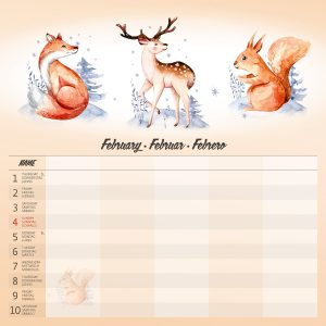Wall calendar Family planner 2024 - February