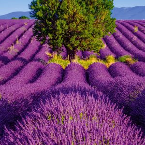 Calendar Provence 2024 - April