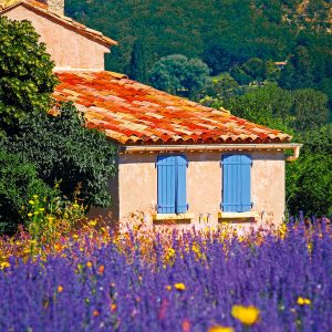 Calendar Provence 2024 - September