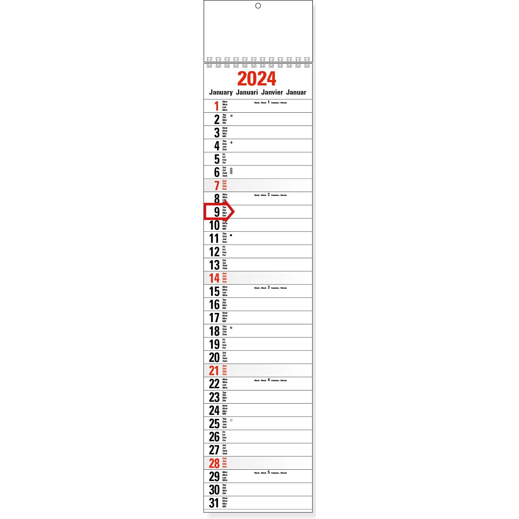Slim Line Calendar XL 2024