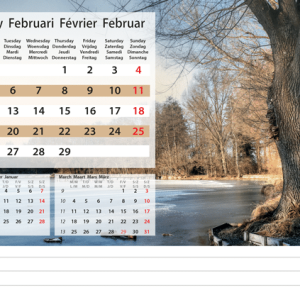 Desk calendar Serenity 2024 - February