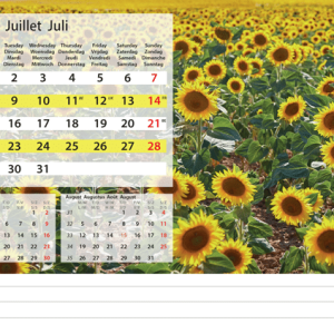 Desk calendar Serenity 2024 - July