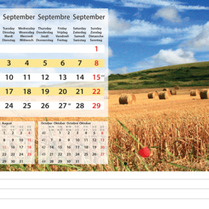 Desk calendar Serenity 2024 - September